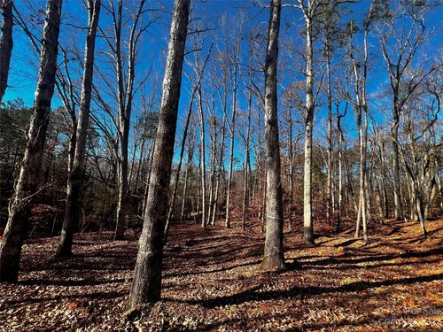 4-150 Copper Pine Ln, Davidson, NC, 28036-0558 | Card Image