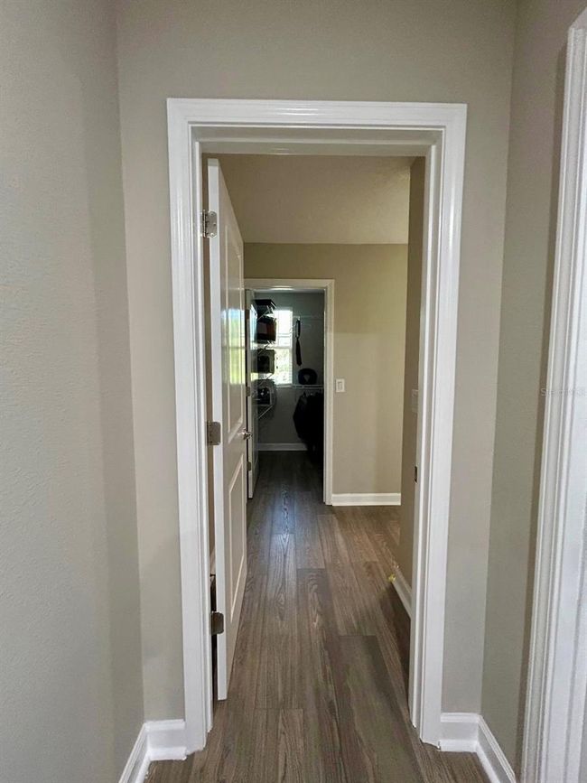 6244 English Hollow Rd, House other with 5 bedrooms, 4 bathrooms and null parking in TAMPA FL | Image 51