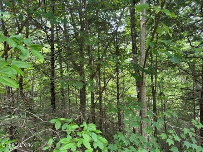 2808 Grist Mill Ln, Home with 0 bedrooms, 0 bathrooms and null parking in Sevierville TN | Image 6