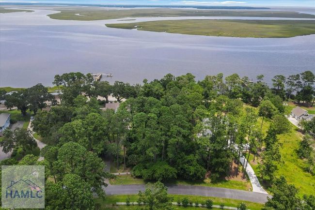 99 Riverpoint Ln, Home with 0 bedrooms, 0 bathrooms and null parking in Townsend GA | Image 20