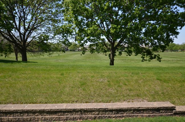 Backyard open space | Image 48