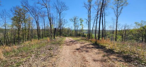 0 Grandpa Jones Road, Mountain View, AR, 72560 | Card Image