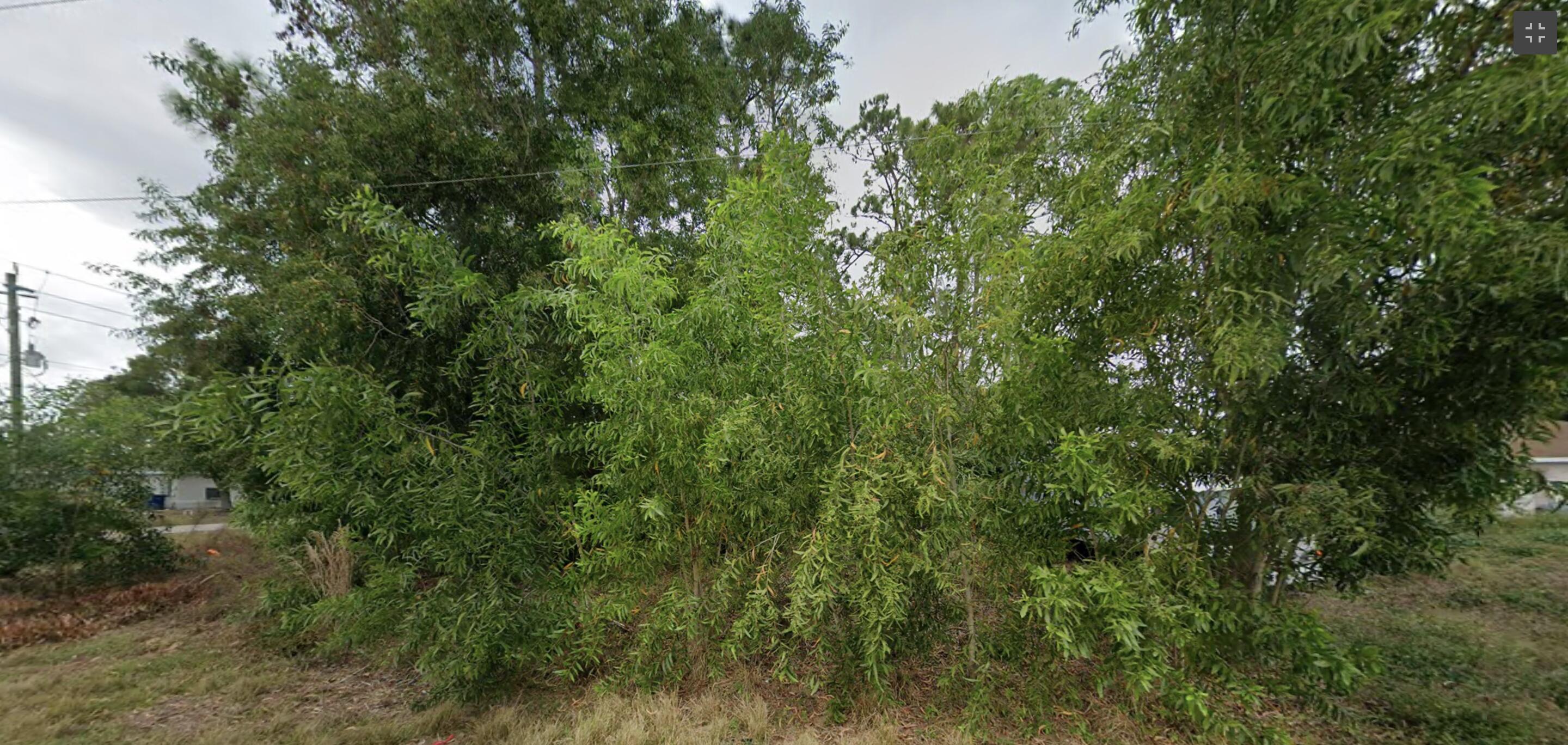 Land in Lehigh Acres 4