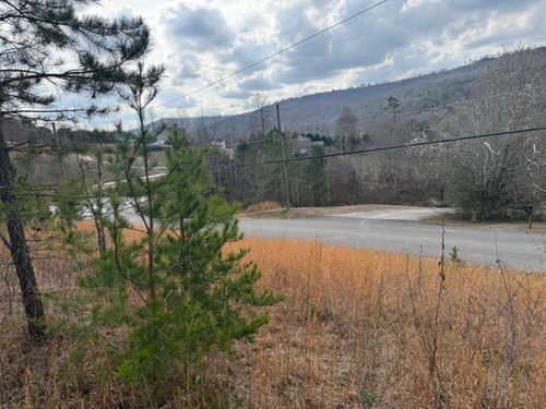 10 Tanglewood Trl, Trenton, GA, 30752-4668 | Card Image