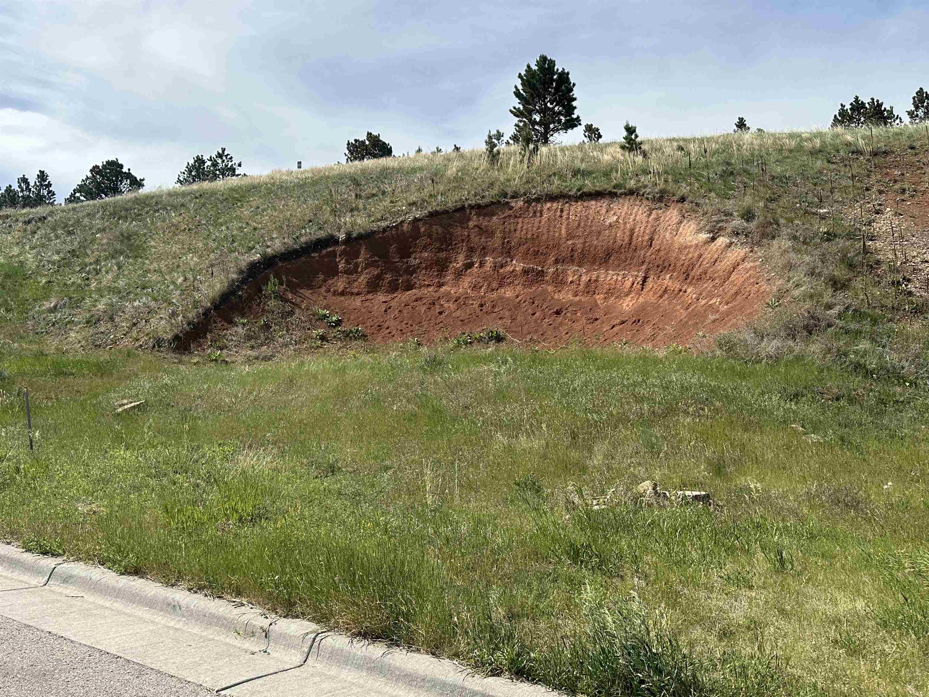 Land in Sturgis 3