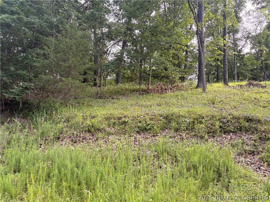 Land in Gravois Mills 4