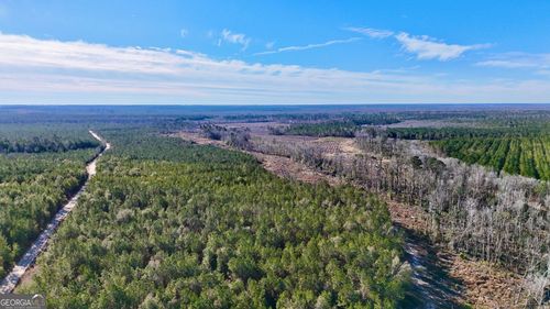 0 Tillman Cemetery Rd, Lumber City, GA, 31549 | Card Image