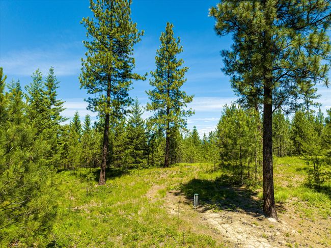 40149 Us Highway 2, House other with 6 bedrooms, 5 bathrooms and null parking in Libby MT | Image 108