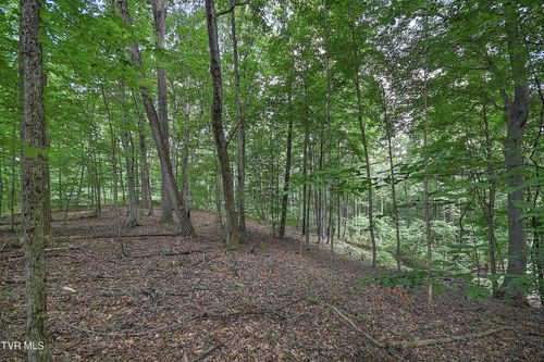 1 Payne Ridge Rd, Church Hill, TN, 37642 | Card Image