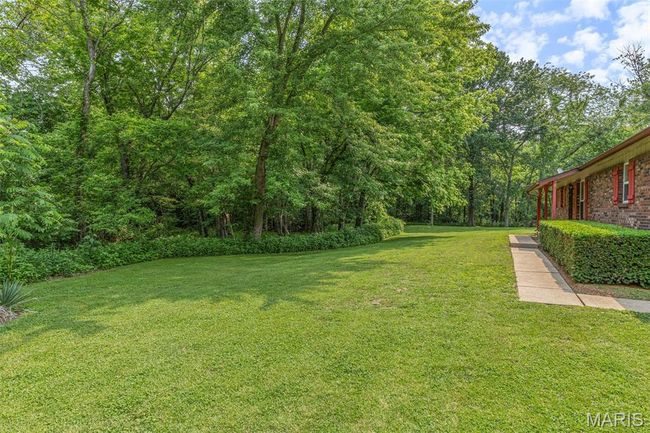 View of grassy yard | Image 59