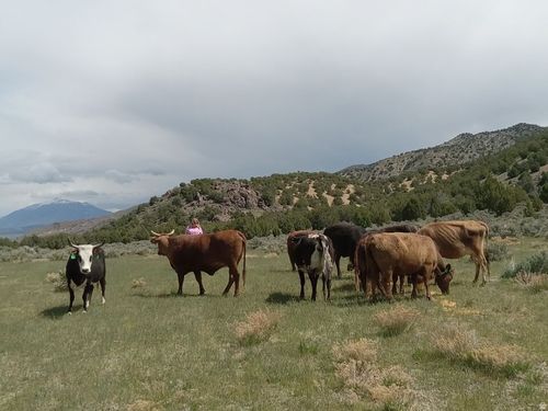 0 County Road 28, Levan, UT, 84639 | Card Image