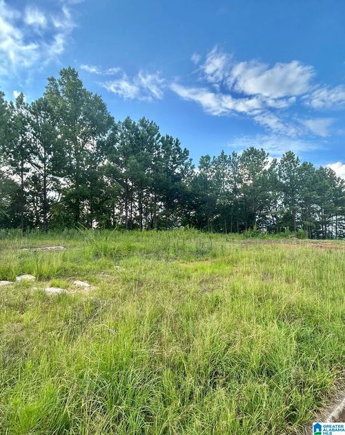 7-0 Cider Forest Dr, Oxford, AL, 36203 | Card Image
