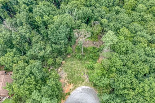 129 Mountain Laurel Court, Unicoi, TN, 37692 | Card Image
