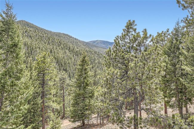 7221 S Brook Forest Rd, House other with 3 bedrooms, 3 bathrooms and 2 parking in Evergreen CO | Image 35