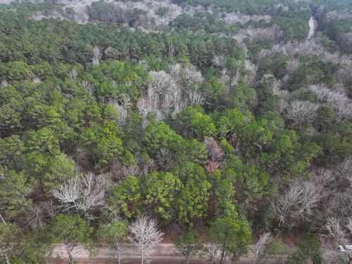 Lot 1 Silva Dr, Hamilton, GA, 31811 | Card Image