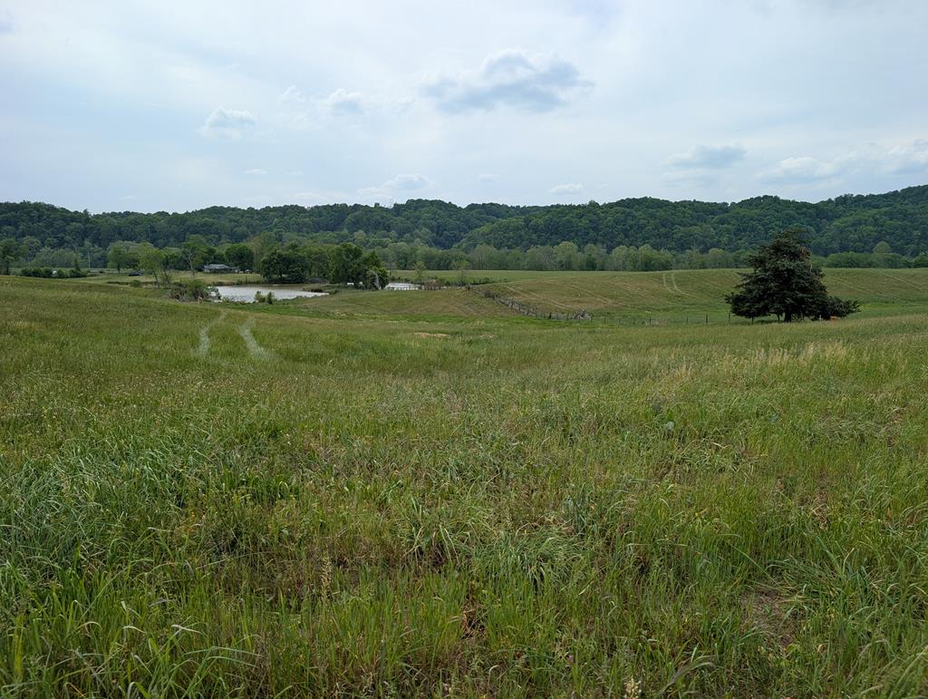 Land in Burkesville
