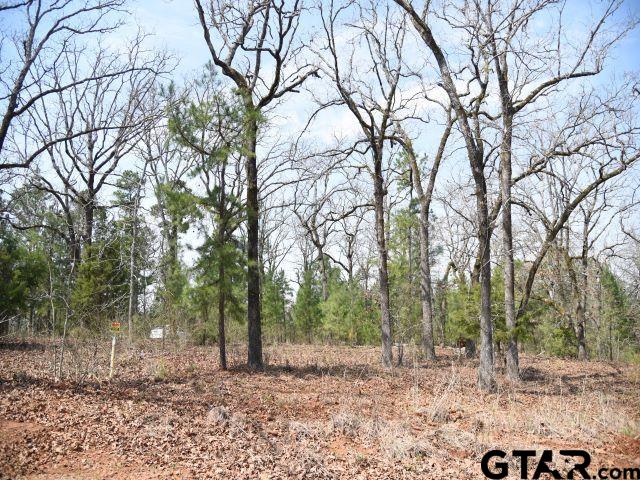 Land in Montalba