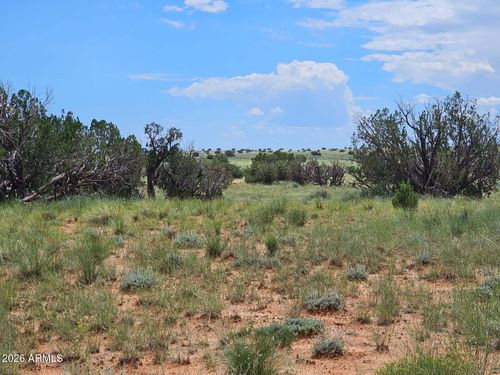 39-1924 Hutch Rd, Heber, AZ, 85928-5844 | Card Image