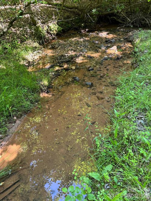 Lot 54 Billings Hill Church Rd, Traphill, NC, 28685 | Card Image