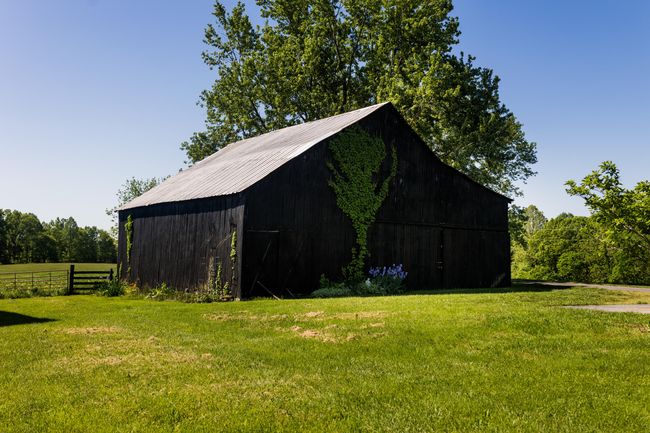 Tobacco Barn | Image 49