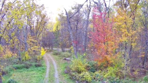 47802 Xylophone Rd, Garrison, MN, 56450-8621 | Card Image