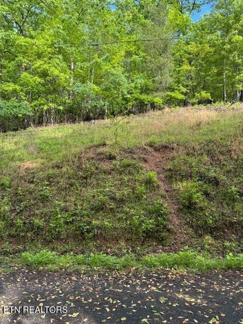 Lot 543 Rockview Dr, Spring City, TN, 37381 | Card Image