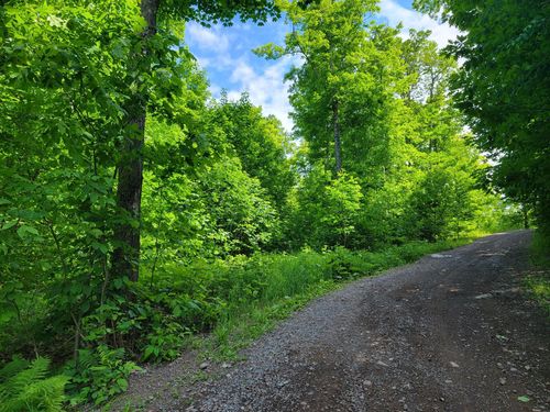 Lot 14 Alpine Shores Dr, Upson, WI, 54565 | Card Image