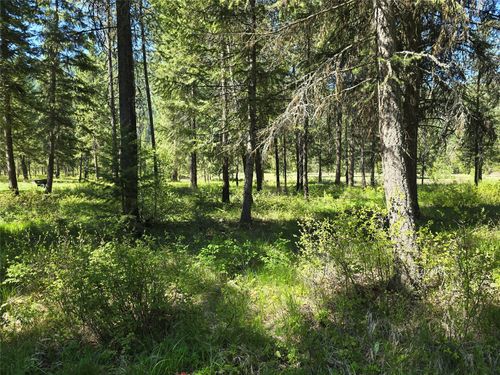 NH Fairview Drive, St Regis, MT, 59866 | Card Image