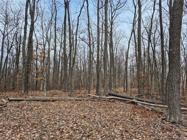 0 Town Hall Rd, Home with 0 bedrooms, 0 bathrooms and null parking in SPRINGBROOK WI | Image 9