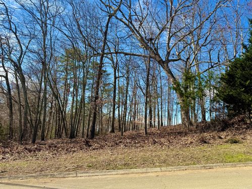 Lot 37 Lake Vista Dr, White Pine, TN, 37890 | Card Image
