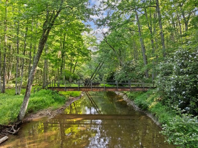 1071 Lodge Dr, Home with 4 bedrooms, 2 bathrooms and null parking in Bastian VA | Image 71