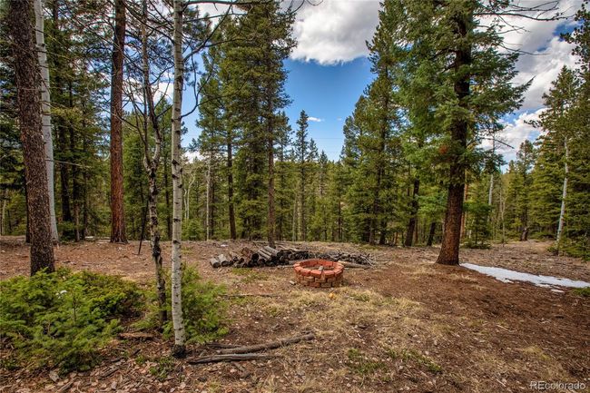 565 Ridge Rd, House other with 2 bedrooms, 2 bathrooms and 1 parking in Divide CO | Image 37