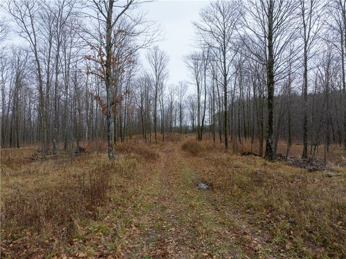 53 acres Otto Olson Road & County Hwy D, grand view, WI, 54839 | Card Image