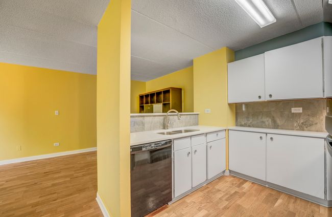 APT-214 - 5550 Astor Ln, Condo with 2 bedrooms, 1 bathrooms and 2 parking in Rolling Meadows IL | Image 6
