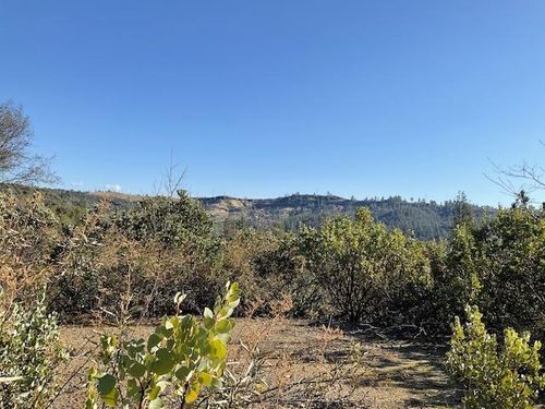 1445 Gallows Rd, Murphys, CA, 95247-7193 | Card Image