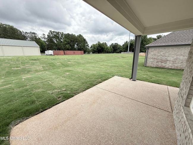 Panola | Image 29