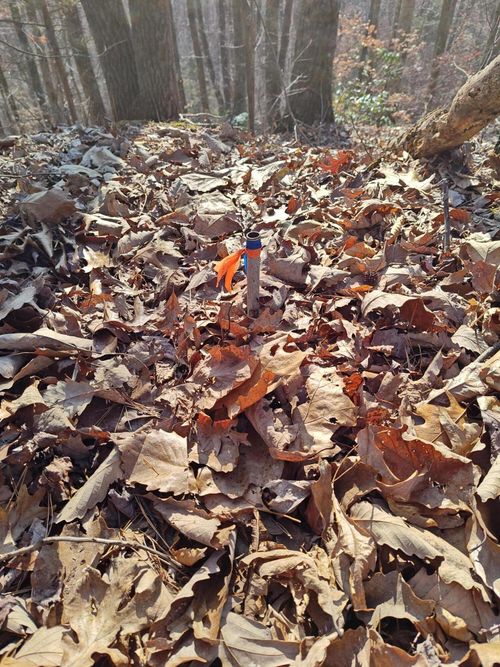 385 Clearview Dr, Dayton, TN, 37321-2895 | Card Image