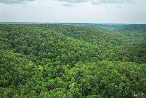0 County Road 6280 Tract 1, Jadwin, MO, 65502 | Card Image