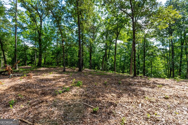 0 John Lovelace Rd, Home with 0 bedrooms, 0 bathrooms and null parking in LAGRANGE GA | Image 27