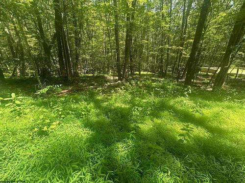 lot-134-134 Windflower Dr, Terra Alta, WV, 26764 | Card Image