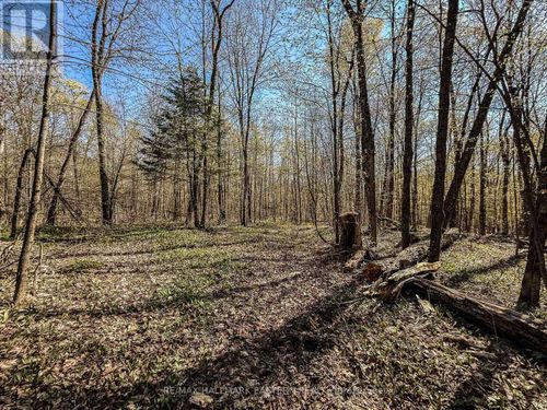 2494 Hadlington Road, Highlands East (Monmouth), ON, K0L3K0 | Card Image