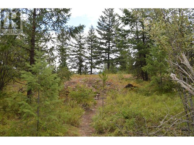 Lot 1 3 Rd St, Home with 0 bedrooms, 0 bathrooms and null parking in Kootenay Boundary BC | Image 14