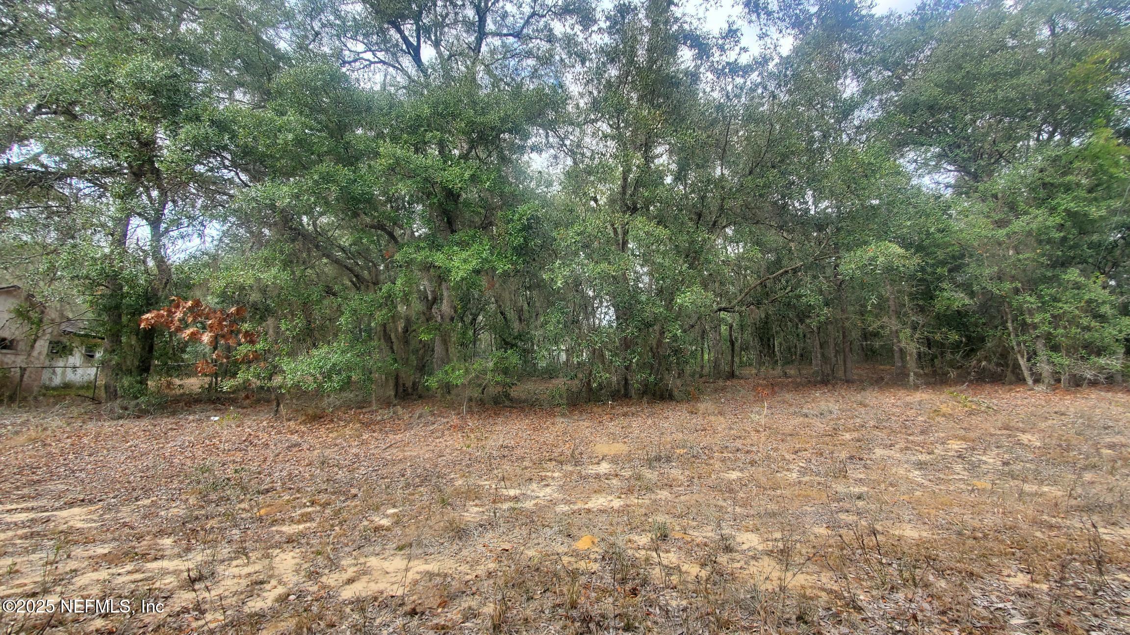 Land in Interlachen 4