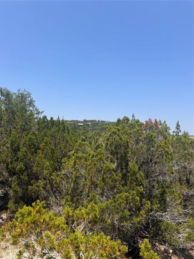 2506 Geronimo Trl, Home with 0 bedrooms, 0 bathrooms and null parking in Austin TX | Image 22