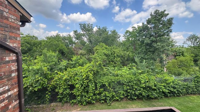 View of yard | Image 18