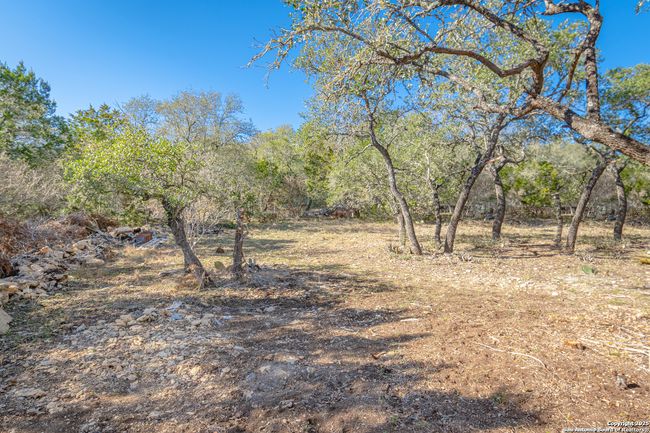 2121 Rolling River Vw, Home with 3 bedrooms, 3 bathrooms and null parking in Spring Branch TX | Image 9