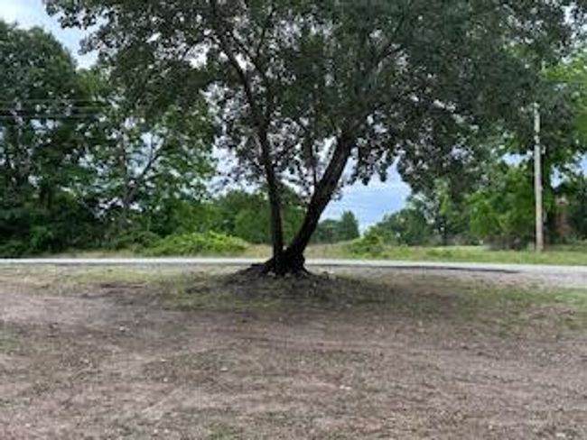 21461NeedlesEyeRdShellKnob-15 | Image 26