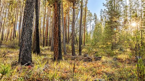 Lot 7 TBD Mitchell Drive, Anaconda, MT, 59711 | Card Image