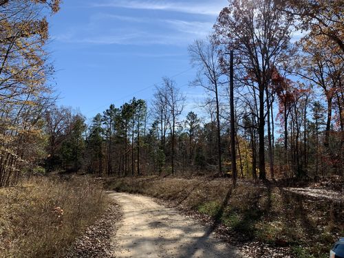 0 Kelly Rd, Medon, TN, 38356 | Card Image