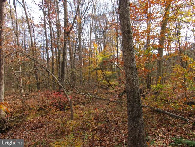 4085 Sumerduck Rd, House other with 3 bedrooms, 4 bathrooms and null parking in SUMERDUCK VA | Image 39